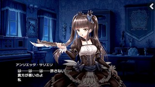 ビデオプレビュー